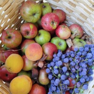 Cesta de Frutas Frescas de Temporada